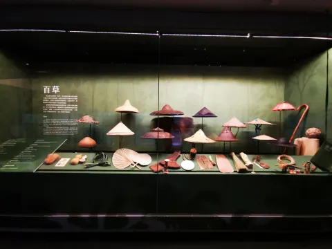 丝绸博物馆