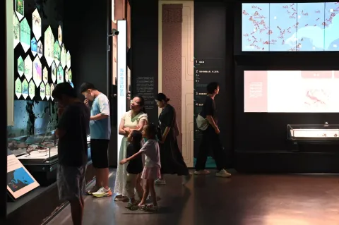 跨湖桥遗址博物馆7