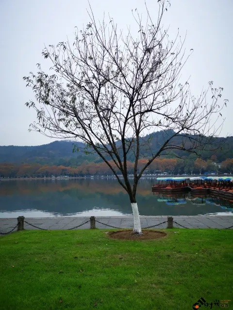 西湖，白堤