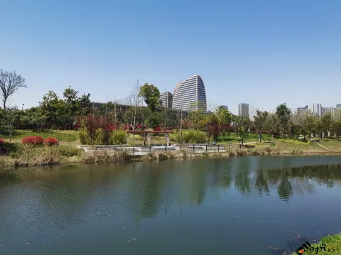 不一样的小河景致