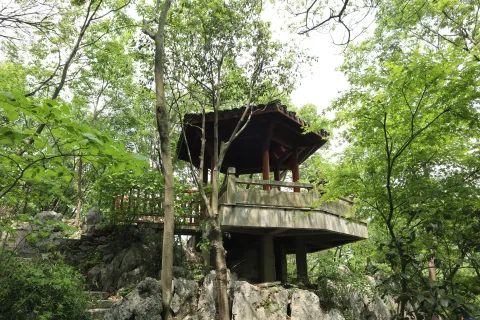 中国茶叶博物馆龙井馆区