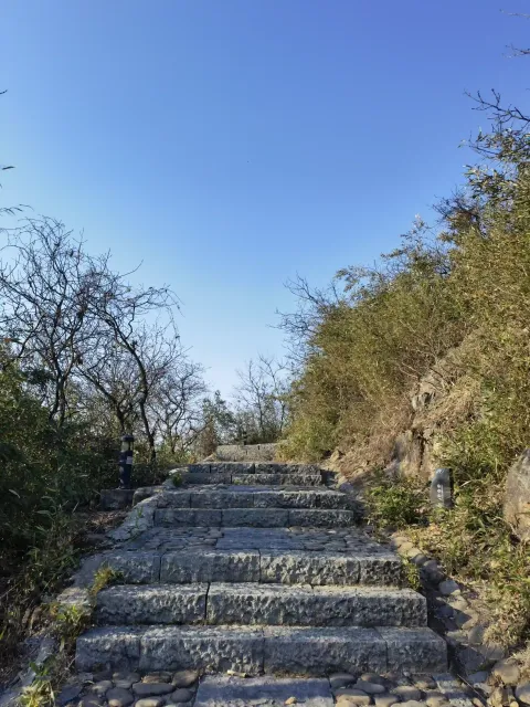 皋亭山15