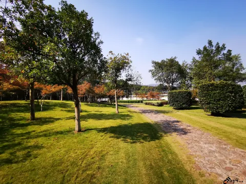 钱塘江大桥南岸的公园景色