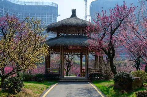龙之梦东方盆景园10