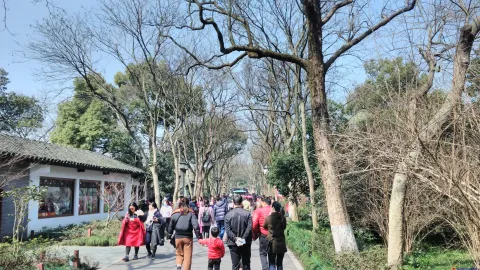西湖苏堤、花港观鱼的游人