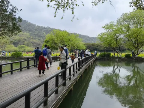 八卦田遗址公园3